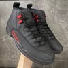 Air Jordan 12