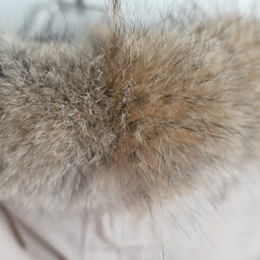 Canada Goose down jacket - Image 6