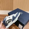 Dior B27