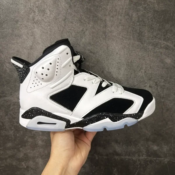Air Jordan 6
